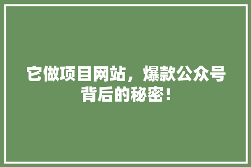 它做项目网站，爆款公众号背后的秘密！