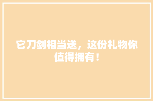 它刀剑相当送，这份礼物你值得拥有！