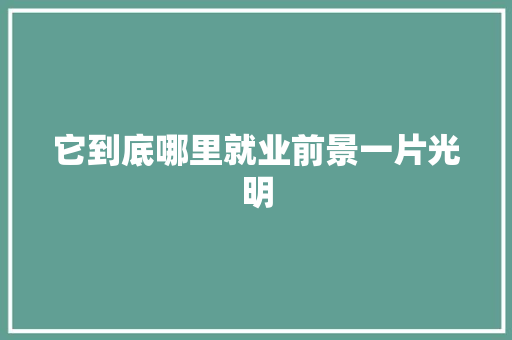 它到底哪里就业前景一片光明