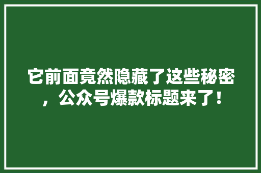 它前面竟然隐藏了这些秘密，公众号爆款标题来了！
