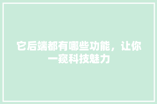 它后端都有哪些功能，让你一窥科技魅力