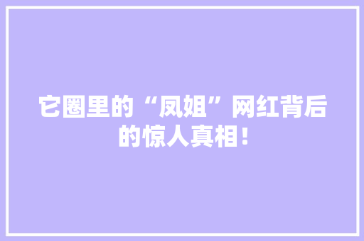 它圈里的“凤姐”网红背后的惊人真相！