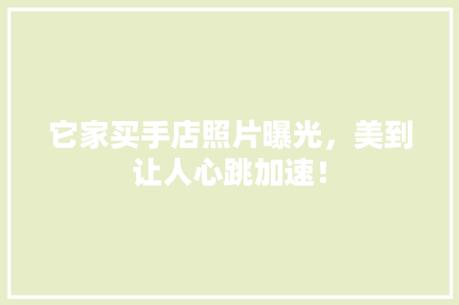 它家买手店照片曝光，美到让人心跳加速！