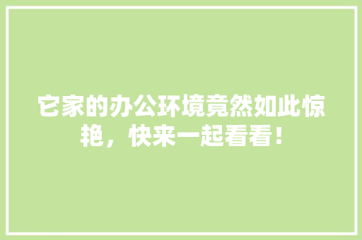 它家的办公环境竟然如此惊艳，快来一起看看！