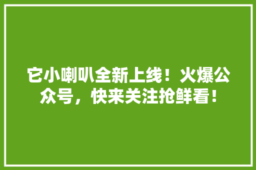 它小喇叭全新上线！火爆公众号，快来关注抢鲜看！