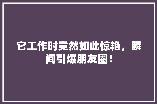 它工作时竟然如此惊艳，瞬间引爆朋友圈！