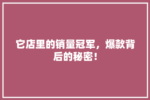 它店里的销量冠军，爆款背后的秘密！