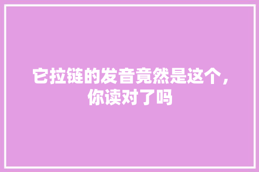 它拉链的发音竟然是这个，你读对了吗