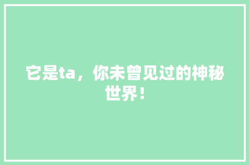 它是ta，你未曾见过的神秘世界！