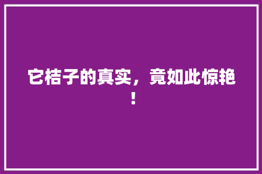 它桔子的真实，竟如此惊艳！