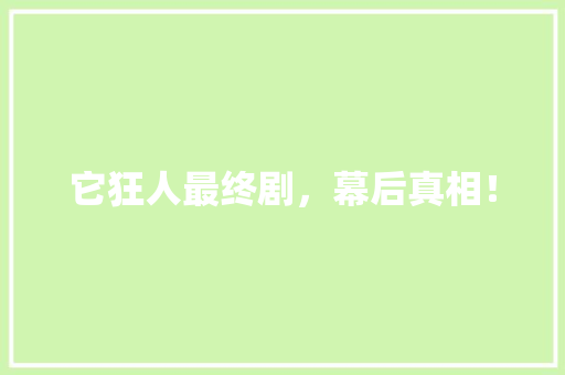 它狂人最终剧，幕后真相！
