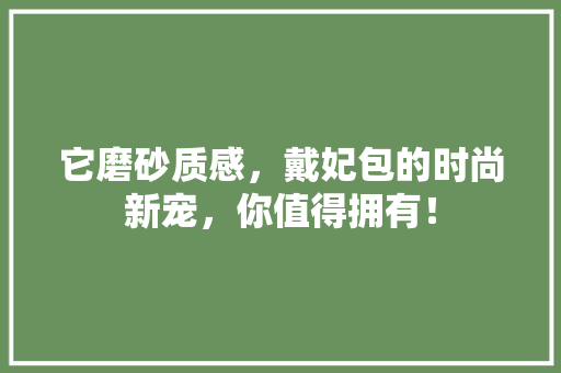 它磨砂质感，戴妃包的时尚新宠，你值得拥有！