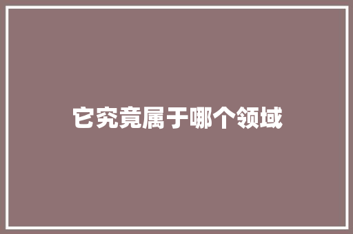 它究竟属于哪个领域 市场营销范文