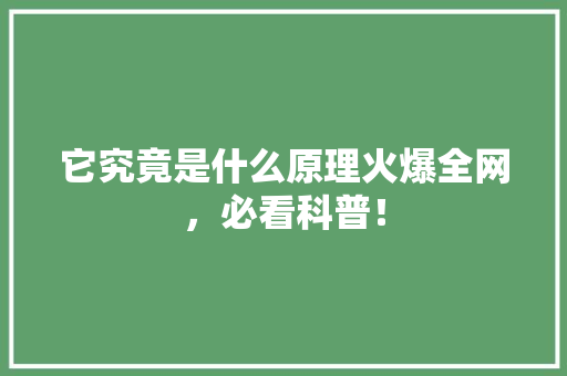 它究竟是什么原理火爆全网，必看科普！