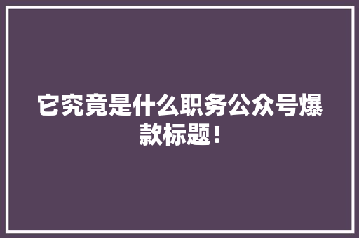 它究竟是什么职务公众号爆款标题！ 网站建设