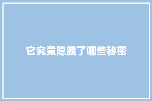 它究竟隐藏了哪些秘密