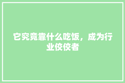 它究竟靠什么吃饭，成为行业佼佼者