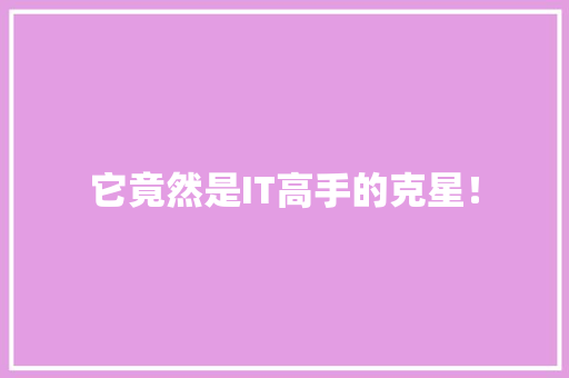 它竟然是IT高手的克星！