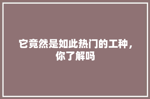 它竟然是如此热门的工种，你了解吗