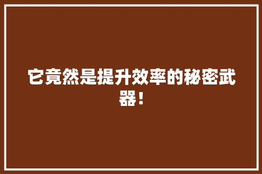 它竟然是提升效率的秘密武器！