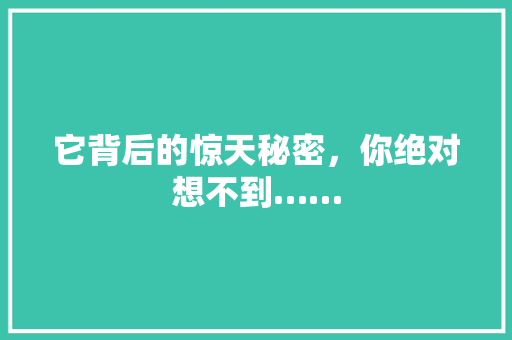 它背后的惊天秘密，你绝对想不到……