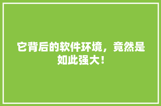 它背后的软件环境，竟然是如此强大！
