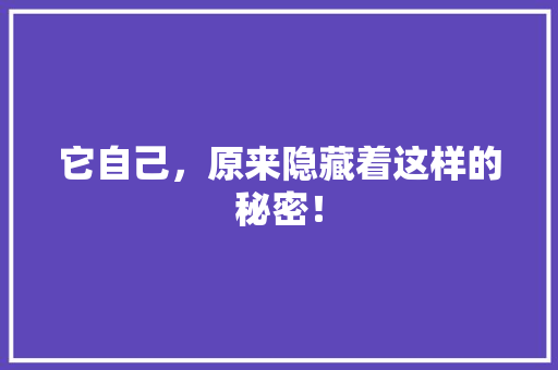 它自己，原来隐藏着这样的秘密！