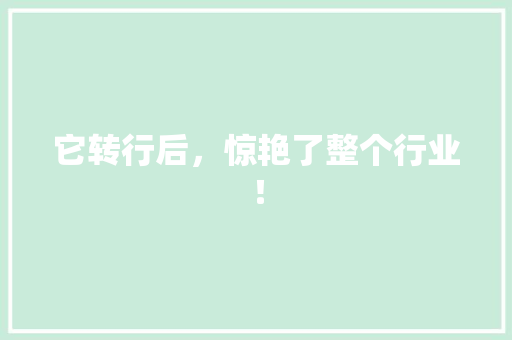 它转行后，惊艳了整个行业！