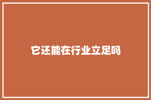 它还能在行业立足吗 项目报告