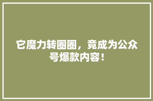 它魔力转圈圈，竟成为公众号爆款内容！
