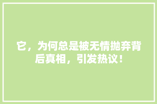 它，为何总是被无情抛弃背后真相，引发热议！