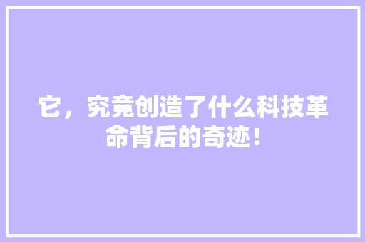 它，究竟创造了什么科技革命背后的奇迹！