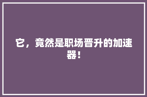它，竟然是职场晋升的加速器！ 后端技术