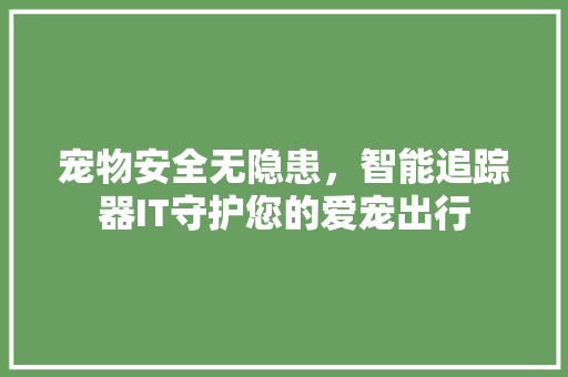 宠物安全无隐患，智能追踪器IT守护您的爱宠出行
