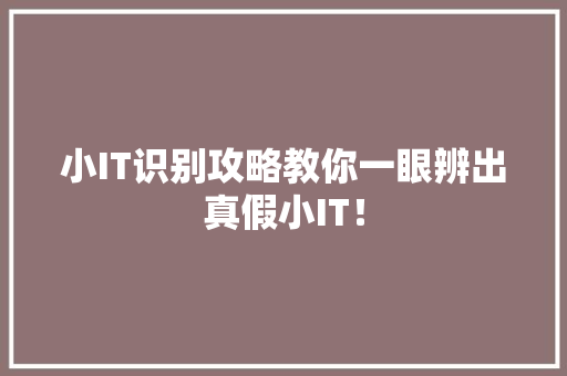 小IT识别攻略教你一眼辨出真假小IT！