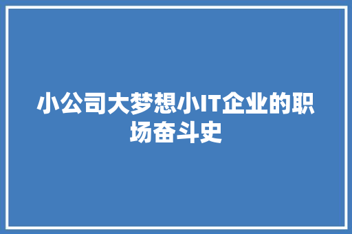 小公司大梦想小IT企业的职场奋斗史 项目报告