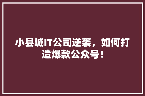 小县城IT公司逆袭，如何打造爆款公众号！