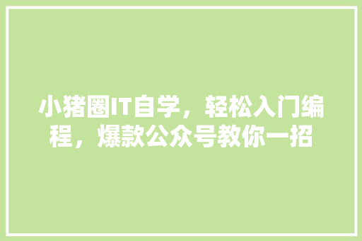 小猪圈IT自学，轻松入门编程，爆款公众号教你一招