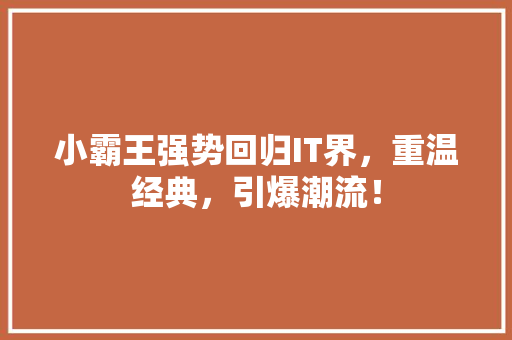 小霸王强势回归IT界，重温经典，引爆潮流！