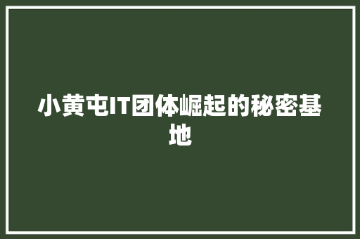 小黄屯IT团体崛起的秘密基地