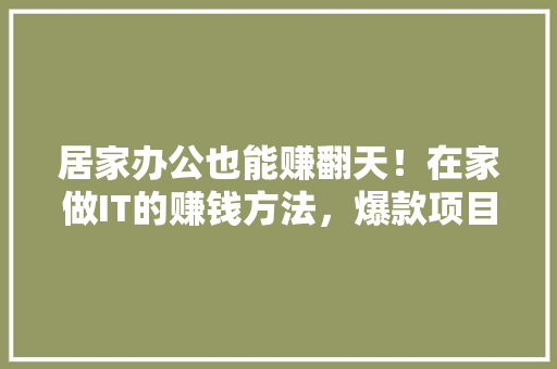 居家办公也能赚翻天！在家做IT的赚钱方法，爆款项目等你来 缓存Redis