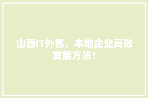 山西IT外包，本地企业高效发展方法！ 项目报告