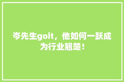 岑先生goit，他如何一跃成为行业翘楚！