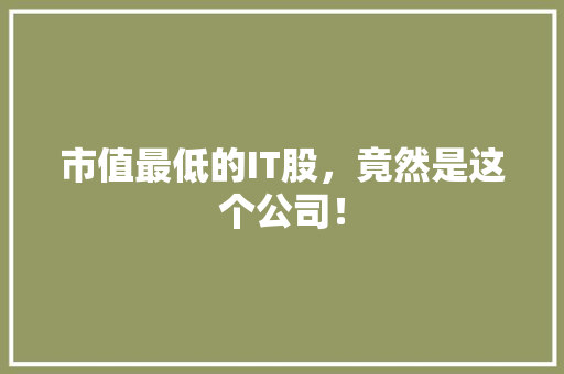 市值最低的IT股，竟然是这个公司！