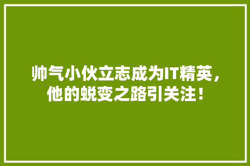 帅气小伙立志成为IT精英，他的蜕变之路引关注！