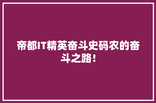 帝都IT精英奋斗史码农的奋斗之路！