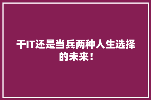 干IT还是当兵两种人生选择的未来！