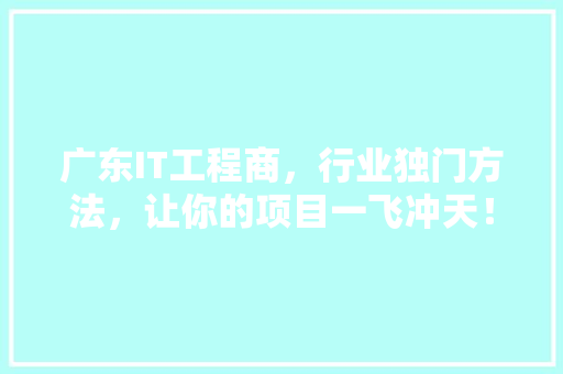 广东IT工程商，行业独门方法，让你的项目一飞冲天！