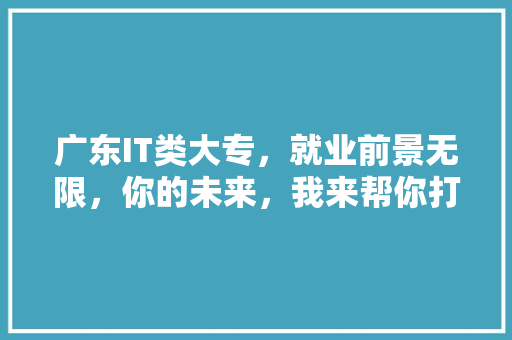 广东IT类大专，就业前景无限，你的未来，我来帮你打开！