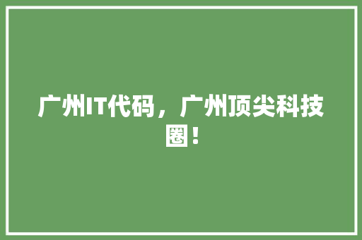 广州IT代码，广州顶尖科技圈！